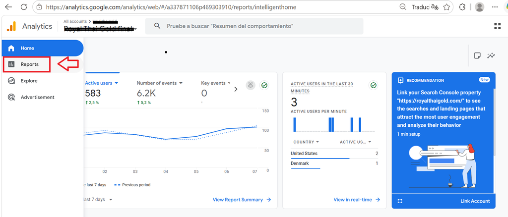 Google Analytics reports