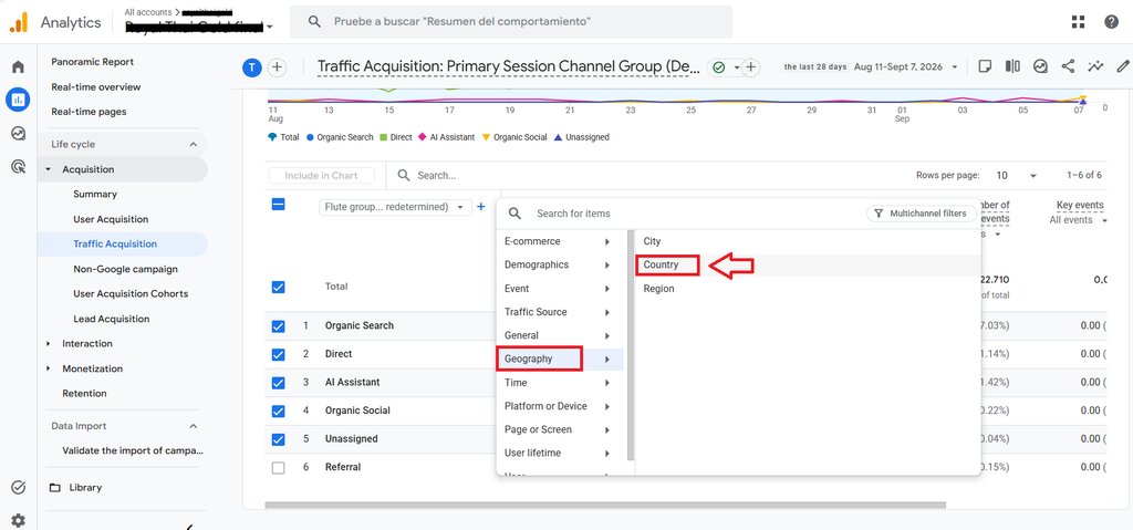 Google Analytics country filter