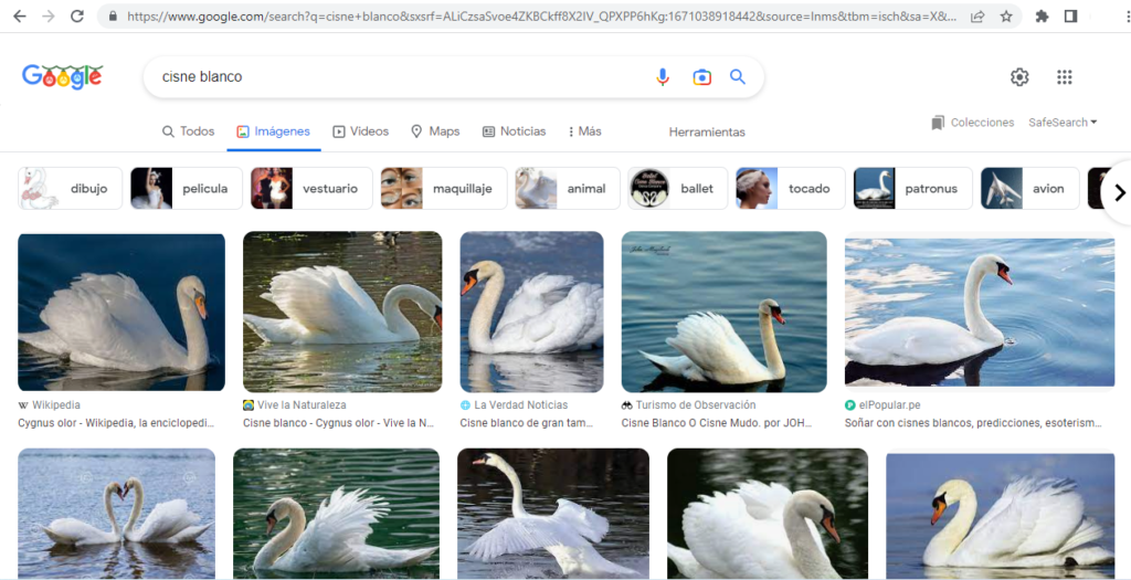 Buscador de imágenes de Google