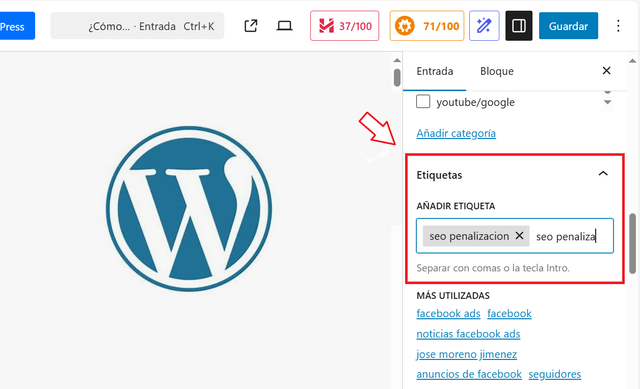 Como colocar etiquetas en un artículo o entrada en WordPress