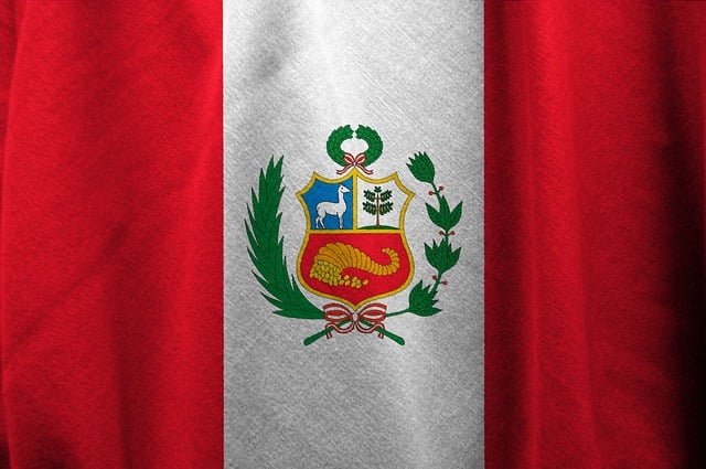 Servicios de SEO en Perú: Puntos a tomar en cuenta al contratar un profesional SEO en Perú