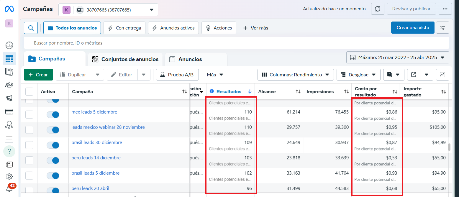 resultados meta ads campaña de leads 2024